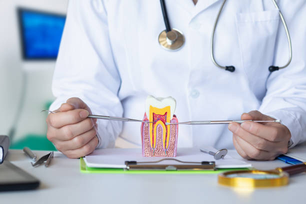 Best Emergency Dental Care for Broken or Chipped Teeth in Spencerville, NM